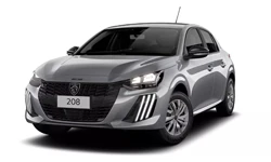 Peugeot 208 Active Turbo 26/26 PCD